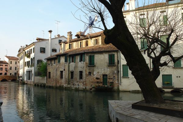 foto treviso concorso fotografico